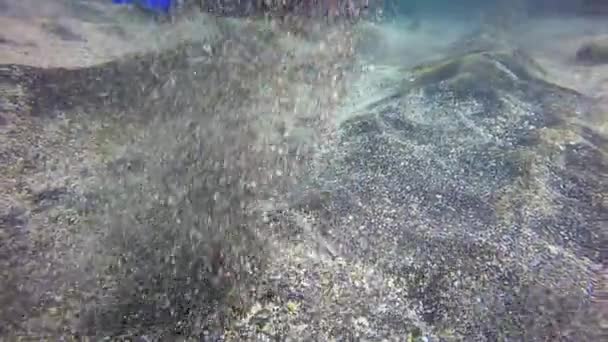 Mergulhadores mão agarra arenoso no fundo arenoso de origem vulcânica de La Palma no oceano Atlântico. — Vídeo de Stock