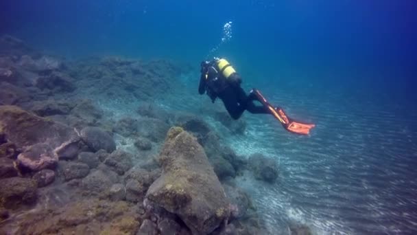 Mergulhadores subaquáticos no fundo de origem vulcânica no oceano Atlântico. — Vídeo de Stock