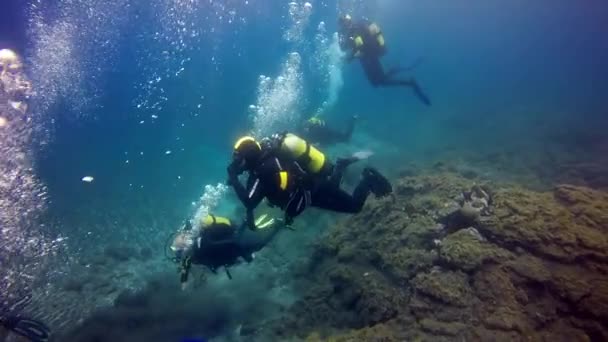 Groep duikers onder water op de bodem van vulkanische oorsprong in de Atlantische Oceaan. — Stockvideo