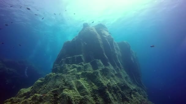 Rocha subaquática no fundo do relevo do fundo do oceano Atlântico. — Vídeo de Stock