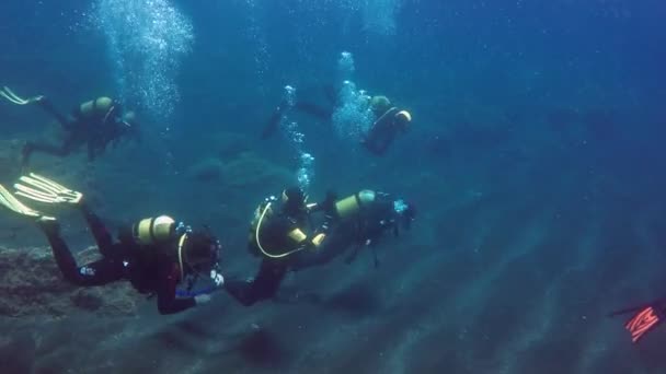 Sekelompok penyelam di bawah air di bagian bawah vulkanik asal di Samudera Atlantik. — Stok Video