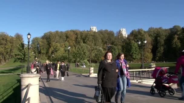 Люди влітку ходять біля мосту з червоної цегли в парку Царицинського.. — стокове відео