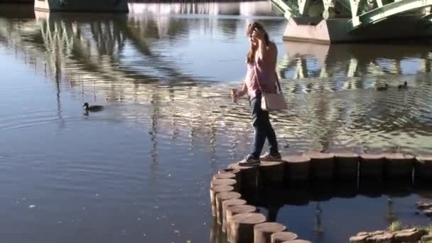 As pessoas andam perto da ponte do tijolo vermelho no parque de Tsaritsinsky no verão. — Vídeo de Stock