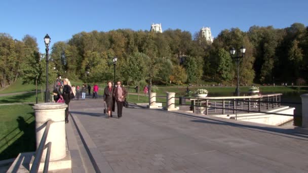 Люди влітку ходять біля мосту з червоної цегли в парку Царицинського.. — стокове відео