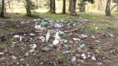 Ormanın arka planında, ağacın yanındaki çöpler..