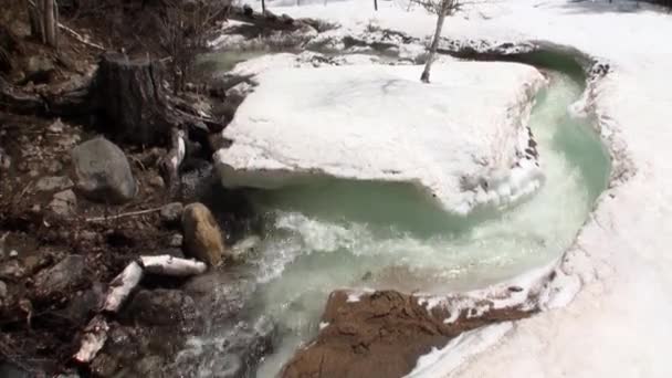 Stream in spring Siberia of Russia. — Stock Video