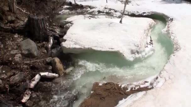 Stroom in het voorjaar Siberië van Rusland. — Stockvideo