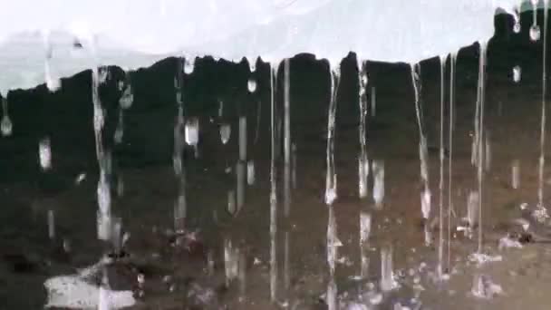 Snow melting on mountain river Temnik in Siberia of Russia. — Stock Video