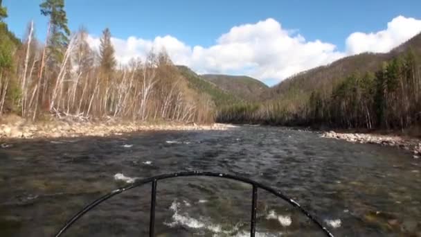 Dağ nehri Temnik 'te bir bataklık uçağı. . — Stok video