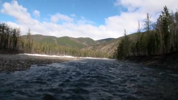 Flodforsar i bergen och skogen i Sibirien i Ryssland. — Stockvideo