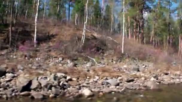 Riverside horské řeky Temnik na hranici Bajkalu. — Stock video