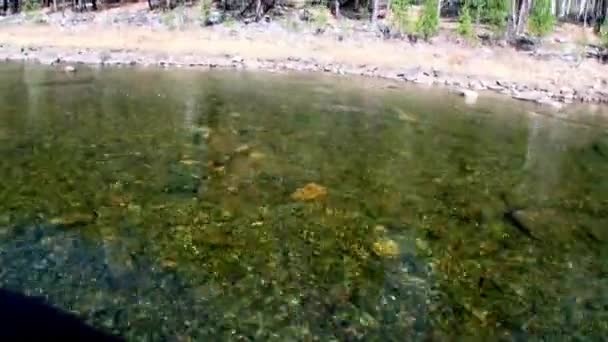 Eau propre et fond rocheux en pierre au printemps dans la rivière de montagne Temnik. — Video