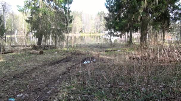 Lixo perto de árvore na floresta no fundo do lago. — Vídeo de Stock