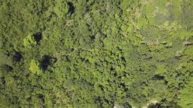 Yukarıdan çekilen vahşi doğa manzarası sualtı mağarasını temizliyor..