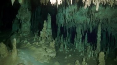 Yucatan Meksika 'da mağara dalışı.