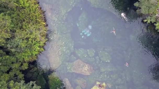 Drohne Luftbild schöne Cenote Doline. — Stockvideo