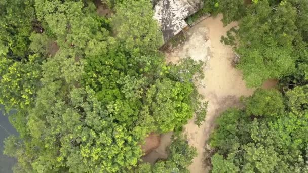 Luchtfoto landschap mooi cenote zinkgat. — Stockvideo