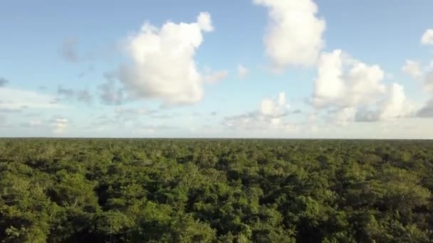 Landschaft aus der Luft schöne Cenote Doline. — Stockvideo