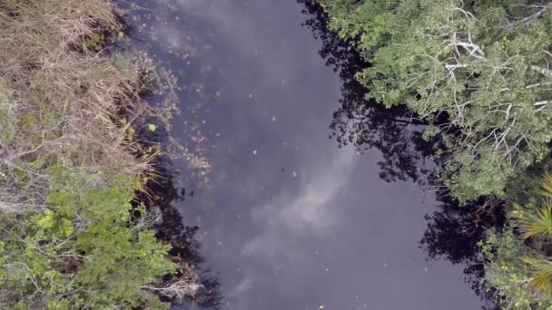 Widok z lotu ptaka krajobraz piękny cenote zapadlisko. — Wideo stockowe