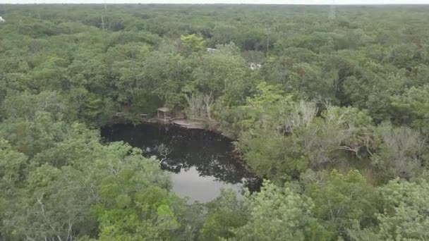 Una cueva submarina clara del medio ambiente del área salvaje del tiro de arriba. — Vídeo de stock