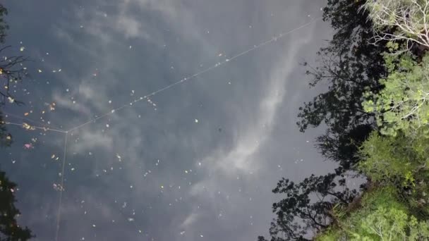 Landschaft aus der Luft ziemlich transparent Süßwasser Cenote. — Stockvideo