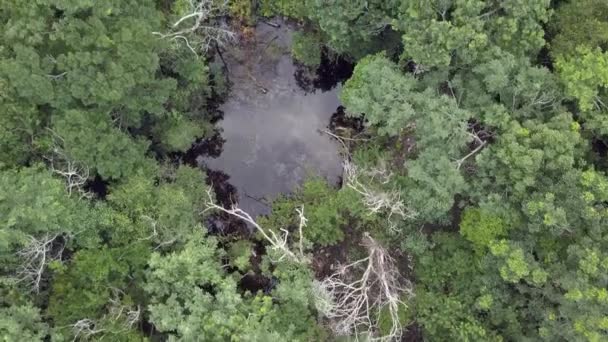 Een overhead shot wildernis gebied omgeving prachtige raadselachtige grot. — Stockvideo