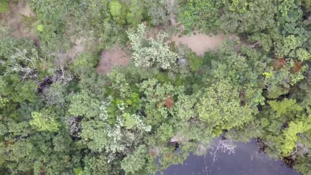 Drone video aéreo bastante transparente cenote de agua dulce. — Vídeos de Stock