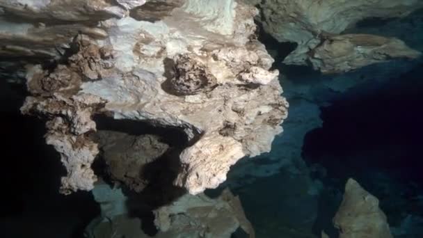 Прыжки в пещеру в подводных пещерах мексиканских сенотов Юкатана. — стоковое видео