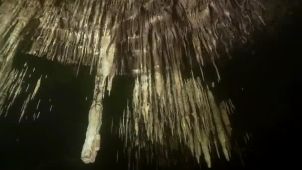Buceo en cuevas submarinas de Yucatán México cenotes. — Vídeos de Stock