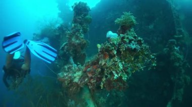 Chuuk Adaları 'ndaki gemi enkazının Truk Gölü' nde dalış..