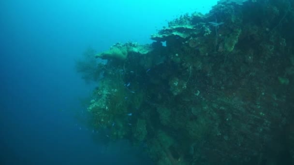 Scheepswrakduiken in de onderwaterwereld van de Truk Eilanden. — Stockvideo