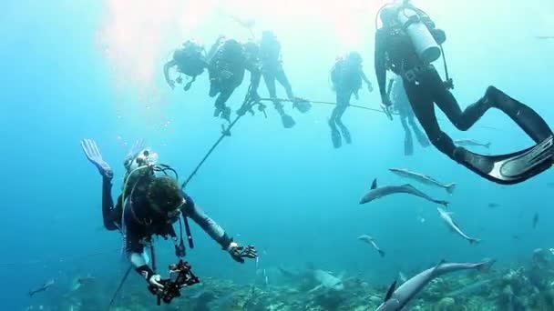 Búvárkodás a Fidzsi-szigetek víz alatti élővilágában. — Stock videók