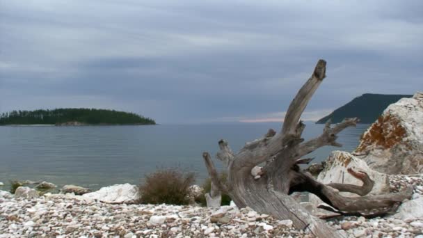 Stenbotten under klart genomskinligt vatten i sjön Baikal. — Stockvideo