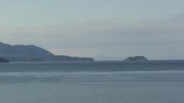 Kayalık kıyı şeridinin arka planında yeşil ağaçlar olan dağ manzarası.