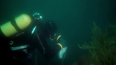 Araştırmacı gezgin, Baykal Gölü 'nün dibindeki buzun altında dalgıç..