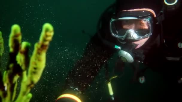 Araştırmacı gezgin, Baykal Gölü 'nün dibindeki buzun altında dalgıç.. — Stok video