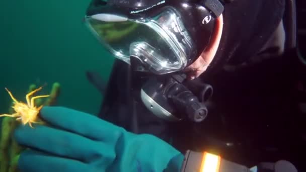 Chercheur voyageur plongeur sous-marin sous la glace au fond du lac Baïkal. — Video