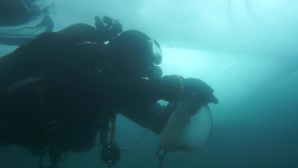 Ερευνητής ταξιδιώτης δύτης υποβρύχια κάτω από τον πάγο στο κάτω μέρος της λίμνης Baikal. — Αρχείο Βίντεο