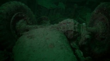 Barents Denizi 'ndeki bir gemi enkazında dalgıç.