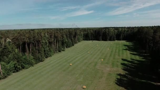 Luchtlandingsvlucht over de golfbaan — Stockvideo