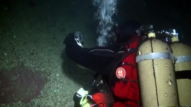 バレンツ海の難破船のダイバー — ストック動画