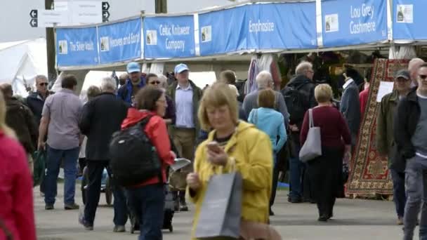 People on festival RHS Malvern Hills. — Stock Video