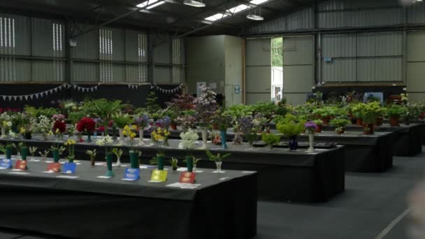 Ausstellung von Blumen, Landschaftsgestaltung RHS Malvern Hills. — Stockvideo