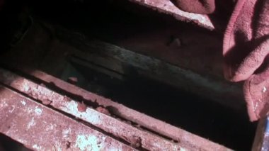 Gemi enkazı Salem Express Mısır 'daki Kızıl Deniz' de suyun altında..