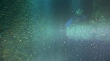 Gemi enkazı Salem Express Mısır 'daki Kızıl Deniz' de suyun altında..