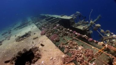 Gemi enkazı Salem Express Mısır 'daki Kızıl Deniz' de suyun altında..