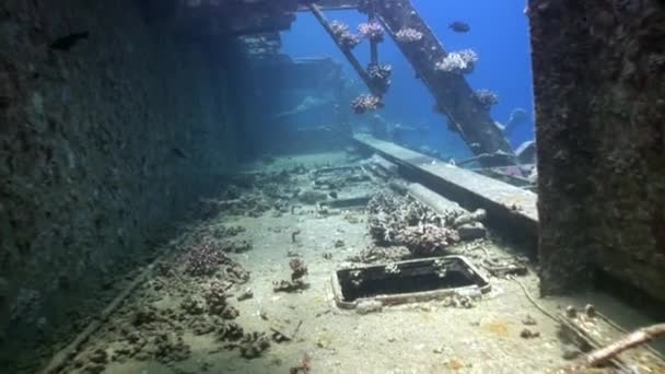 Teil der Schiffswracks Salem Express unter Wasser im Roten Meer in Ägypten. — Stockvideo