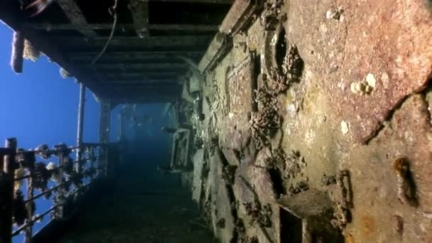 Parte dos naufrágios Salem Express subaquático no Mar Vermelho no Egito. — Vídeo de Stock