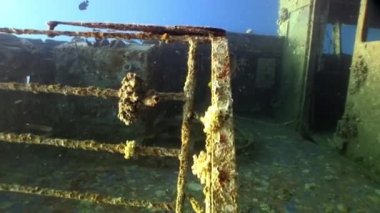 Gemi enkazı Salem Express Mısır 'daki Kızıl Deniz' de suyun altında..