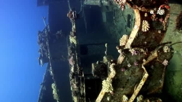 Scheepswrak Salem Express onder water in de Rode Zee in Egypte. — Stockvideo